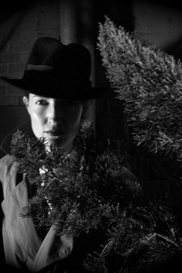 Sondra Stingray: Sapphic Gumshoe