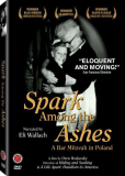 Spark Among the Ashes: A Bar Mitzvah in Poland