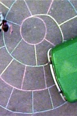 Still Center