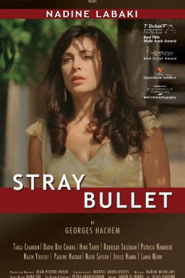 Stray Bullet