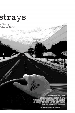 Strays