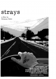 Strays