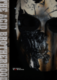 The Acid Brotherhood