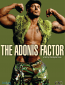 The Adonis Factor