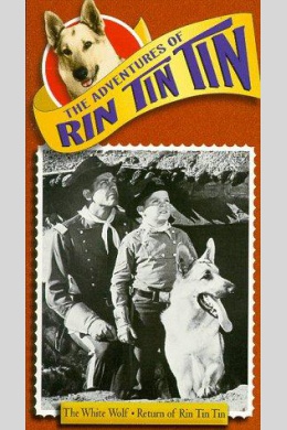 The Adventures of Rin Tin Tin