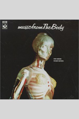 The Body