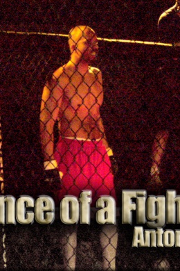 The Essence of a Fighter