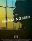 The Hummingbird