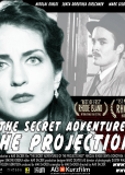 The Secret Adventures of the Projectionist