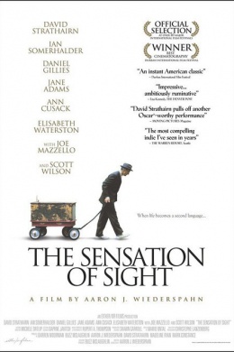 The Sensation of Sight