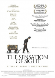 The Sensation of Sight