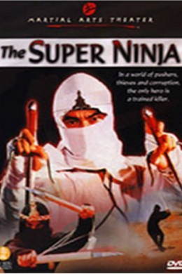 The Super Ninja