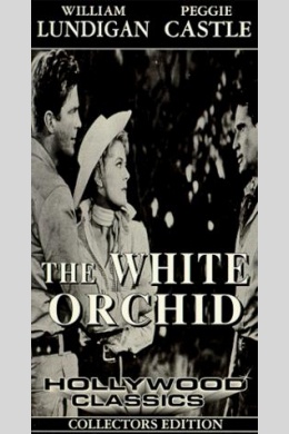 The White Orchid