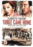 Three Came Home