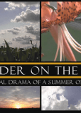 Thunder on the Farm