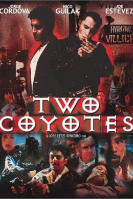Two Coyotes