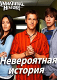 Невероятная история (сериал)