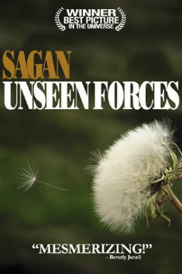 Unseen Forces