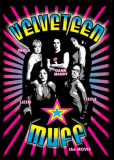 Velveteen Muff