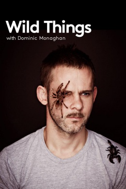 posterpic
