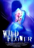 Wildflower