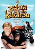 Zebra in the Kitchen