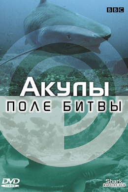 BBC: Акулы. Поле битвы