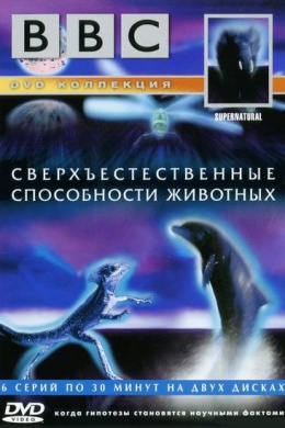 BBC: Сверхъестественные способности животных