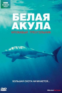 BBC: Белая акула. Кровавый треугольник