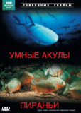 Подводные убийцы. Умные акулы. Пираньи
