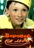 Воробей на льду