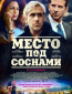 Место под соснами