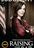 Адвокатская практика (сериал)