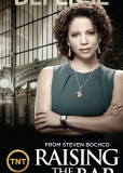 Адвокатская практика (сериал)