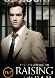 Адвокатская практика (сериал)