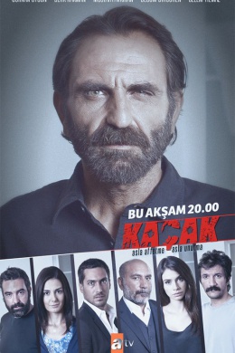 Беглец (сериал)