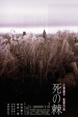 posterpic