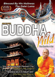 Buddha Wild: Monk in a Hut