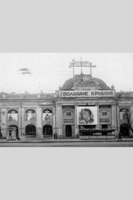 Большие крылья