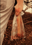 Blood Will Have Blood