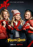 Более полный дом (сериал)