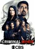 Мыслить как преступник (сериал)
