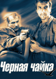 Чёрная чайка