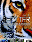 Give Me Shelter