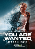 В розыске (сериал)