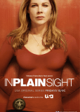 В поле зрения (сериал)