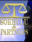 Sokhulu and Partners II (сериал)