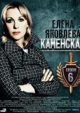 Каменская 6 (сериал)