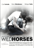 Wild Horses