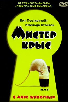 Мистер Крыс